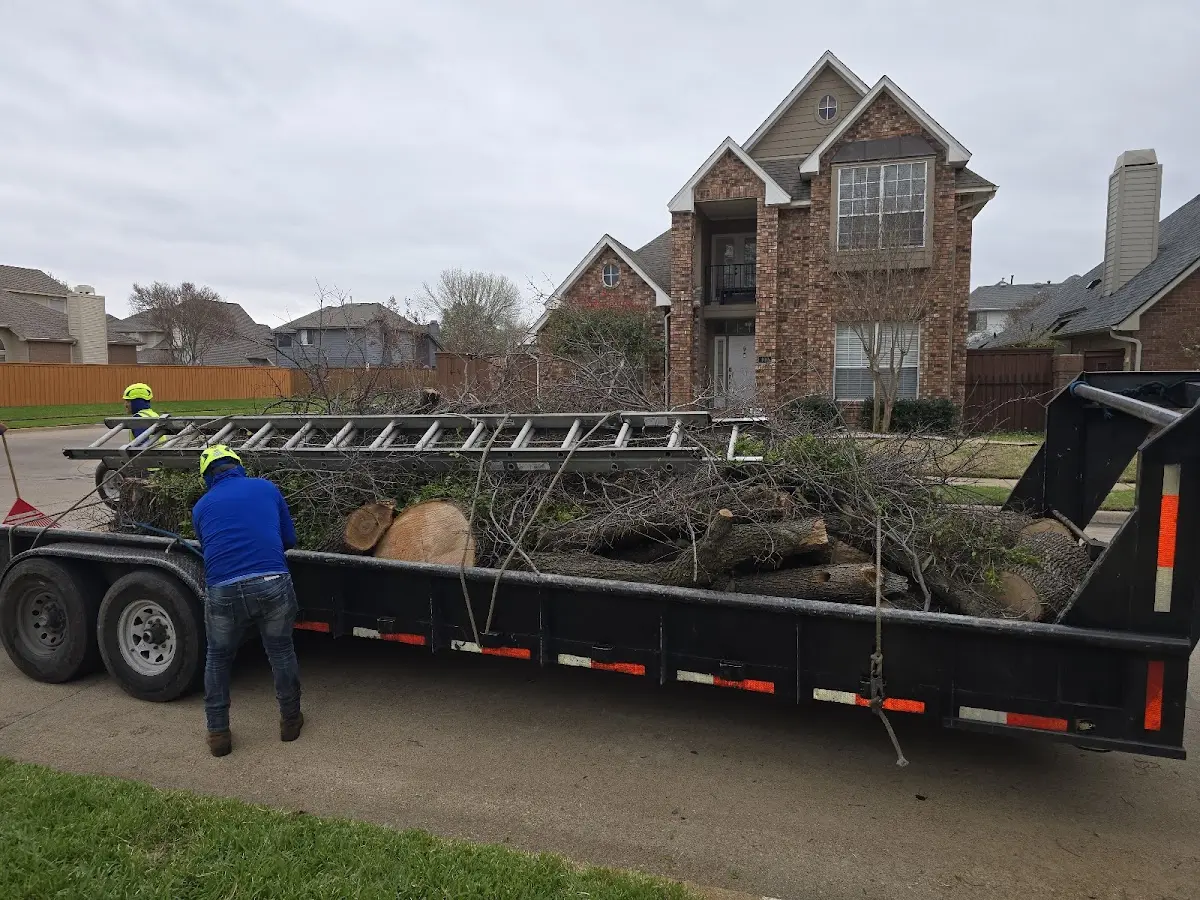 Expert Crown Reduction with proper safety equipment in Wewahitchka